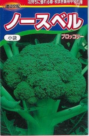 ノースベル ７０粒 オガワのタネ