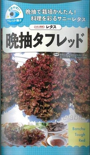 晩抽タフレッド コート5000粒 オガワのタネ 晩抽タフレッド コート5000粒 オガワのタネ