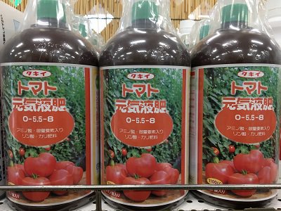トマト元気液肥 １１００ｃｃ オガワのタネ