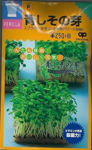 青しその芽 オガワのタネ 青しその芽 オガワのタネ