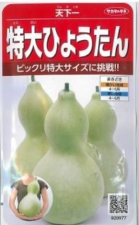 特大ひょうたん