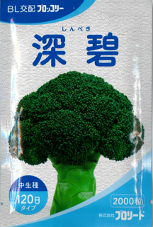 【ぐれたく】ブロッコリーコート種子（深碧、おはよう）2個セット 値下げ！【匿名発送】ブロッコリーコート種子（おはよう）5000粒