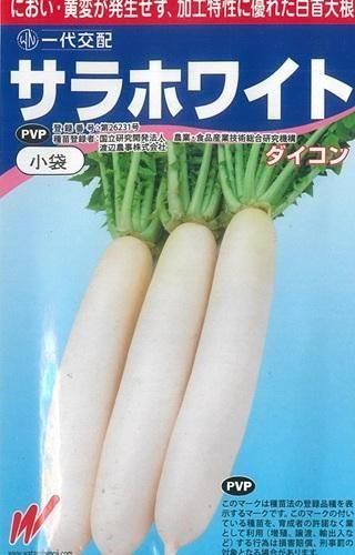 サラホワイト（２０ｍｌ）登録品種 - オガワのタネ