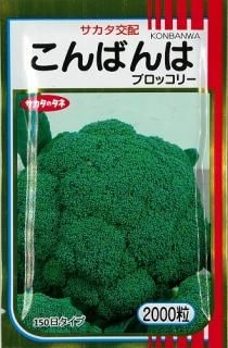 クリア[ブロッコリー] - e-種や｜国内最大級の野菜種・花種・苗