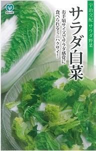 ハクサイ - オガワのタネ オンラインショップ