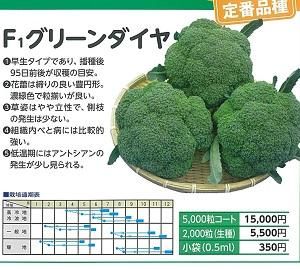 晩緑99W (ブロッコリー種子)5千粒（楽天市場】コート種子 晩緑99