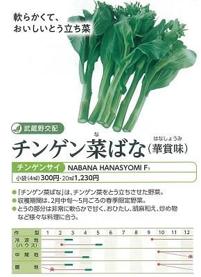 チンゲン菜ばな - オガワのタネ オンラインショップ