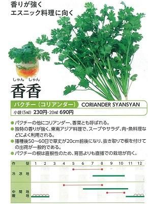 快適食品・飲料・酒 - パクチー/香菜/コリアンダー 香りが強く