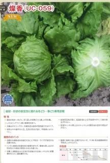 【たかさん】レタス（サウザー ）1缶、ブロッコリー（クリア）２缶 レタス - オガワのタネ オンラインショップ