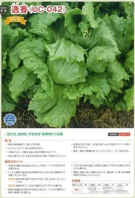 逸香 - オガワのタネ オンラインショップ