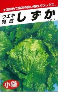 【たかさん】レタス（サウザー ）1缶、ブロッコリー（クリア）２缶 たね,葉菜の種,レタス,玉レタス | 種兵ネットショッピング