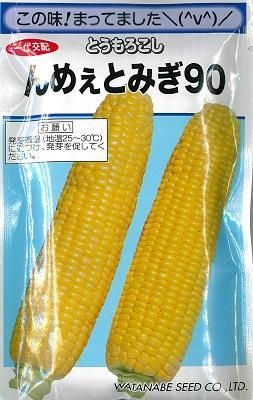 んめぇとみぎ90 - オガワのタネ オンラインショップ