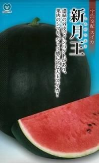 スイカ（赤色果肉・緑色皮） 新潟直送計画】南魚沼産スイカ 赤大玉「羅皇ザ・スウィート