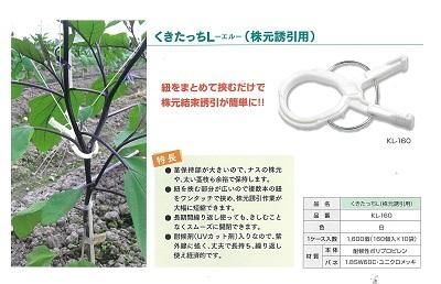 くきたっちアルファL（ピンチ式） - オガワのタネ オンラインショップ