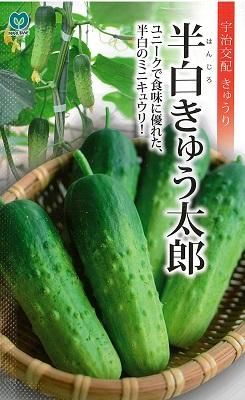 半白きゅう太郎 - オガワのタネ オンラインショップ