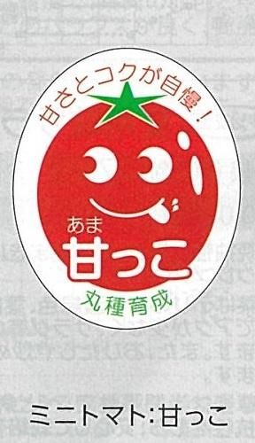 甘っこ シール - オガワのタネ オンラインショップ