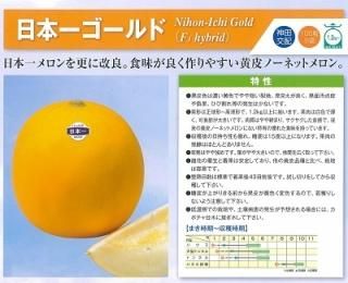 メロン - オガワのタネ オンラインショップ