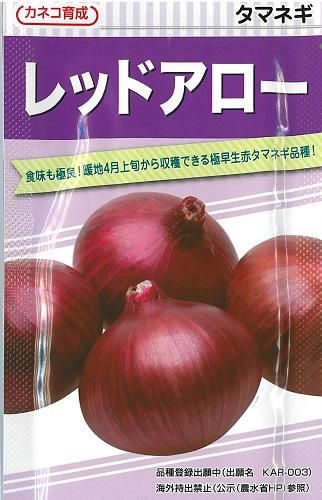【12/5以降に発送の可能性】レッドアロー 極早生 赤玉ねぎ 1000本 レッドアロー（登録品種） - オガワのタネ オンラインショップ