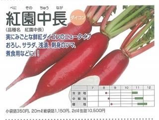 赤大根 オガワのタネ オンラインショップ