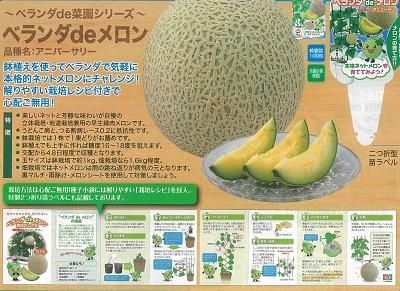 ベランダdeメロン 6粒 オガワのタネ ベランダdeメロン 6粒 オガワのタネ