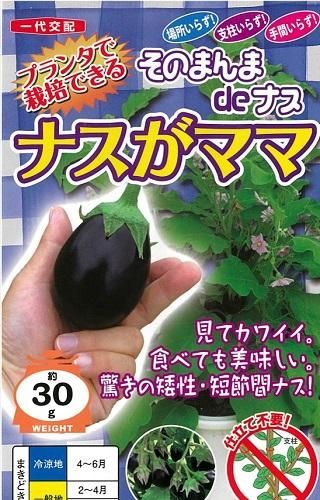 ナスがママ １０粒 オガワのタネ
