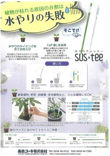 ［確認用］水生植物　苗 確認用］水生植物 苗 確認用］水生植物苗