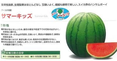 サマーキッズ ２００粒 オガワのタネ オンラインショップ