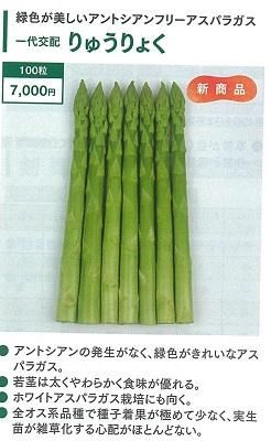 りゅうりょく 100粒 オガワのタネ りゅうりょく 100粒 オガワのタネ