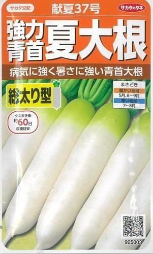 夏野菜 献夏37号 - オガワのタネ オンラインショップ