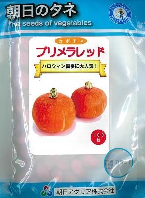 プリメラレッド 100粒 オガワのタネ プリメラレッド 100粒 オガワのタネ