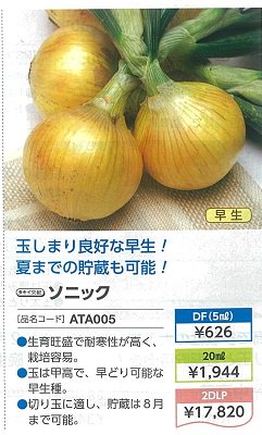 玉ねぎ 種 タキイ ソニック 2dl - 野菜