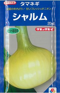 色付き玉ねぎ（赤玉ねぎ等） - オガワのタネ オンラインショップ