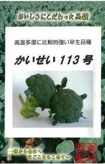 ブロッコリー - オガワのタネ オンラインショップ