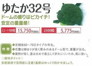 売り尽くし激安！ブロッコリー コート種子(クリア)5000粒 楽天市場】ブロッコリー 種子 5000粒の通販
