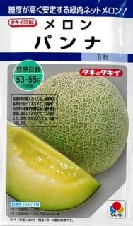 新鮮な緑色メロン メロン 【 2025年 先行予約 】 青肉 2玉 盆前発送 【選べる配送