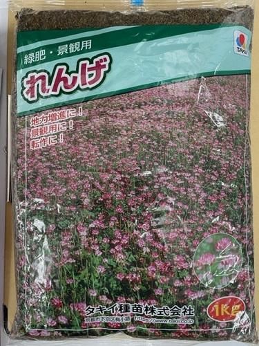 れんげページ れんげ（タキイ） - オガワのタネ オンラインショップ