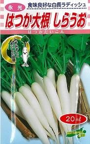 二十日大根 オガワのタネ 二十日大根 オガワのタネ