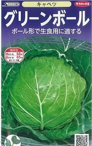 ボール型キャベツ オガワのタネ ボール型キャベツ オガワのタネ