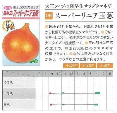 スーパーリニア玉葱 - オガワのタネ オンラインショップ