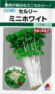 セロリパセリ セルリー＆パセリ - オガワのタネ オンラインショップ