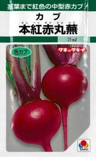 赤かぶ 大 オガワのタネ 赤かぶ 大 オガワのタネ