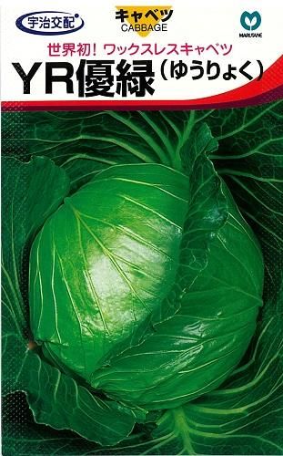 YR優緑 - オガワのタネ オンラインショップ YR優緑 - オガワのタネ オンラインショップ