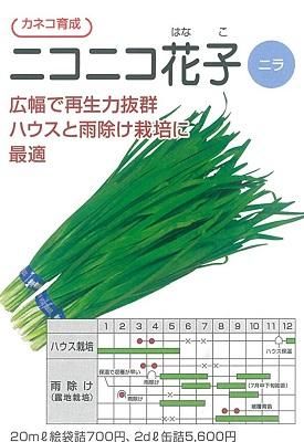 ニコニコ花子（2dl） - オガワのタネ オンラインショップ