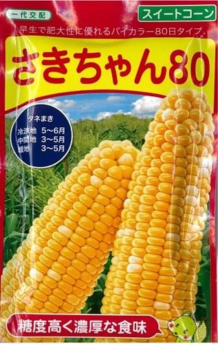 とうもろこし とうもろこし] サニーショコラ88 2000粒 ヴィルモランみかど（株