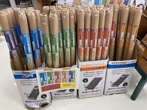 じゃがいも用穴あきマルチ（黒）（巾95cm×50m 1列 株間