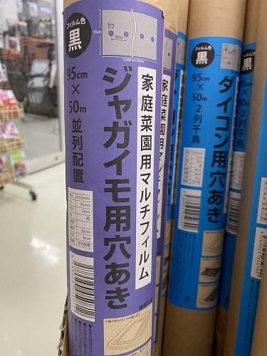 じゃがいも用穴あきマルチ(黒)(巾95cm×50m 1列 株間 じゃがいも用穴あきマルチ(黒)(巾95cm×50m 1列 株間