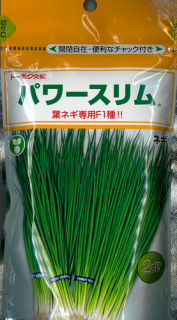 本格派ま！ 葉ネギ - オガワのタネ オンラインショップ 野菜