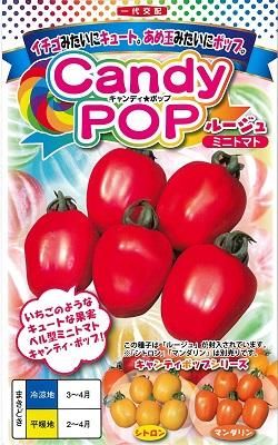 キャンディレッド　トップフォース　ボディ キャンディレッド トップフォース ボディ - メルカリ