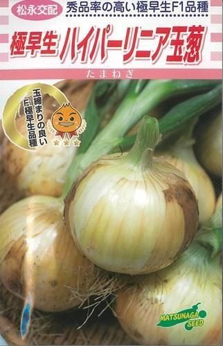 極早生玉ねぎ苗 ハイパーリニア 1000本 極早生玉ねぎ苗 ハイパーリニア 1000本 ms0010a.jpg