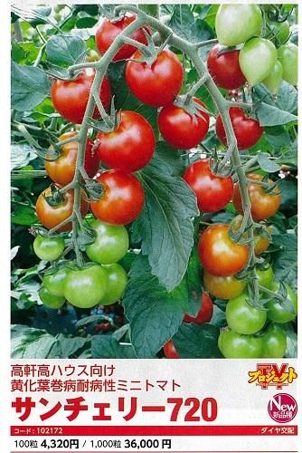 サンチェリー720 - オガワのタネ オンラインショップ